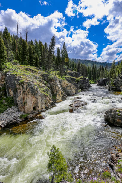 dagger falls no middle fork of the salmon river, idaho - idaho waterfall natural landmark extreme terrain - fotografias e filmes do acervo