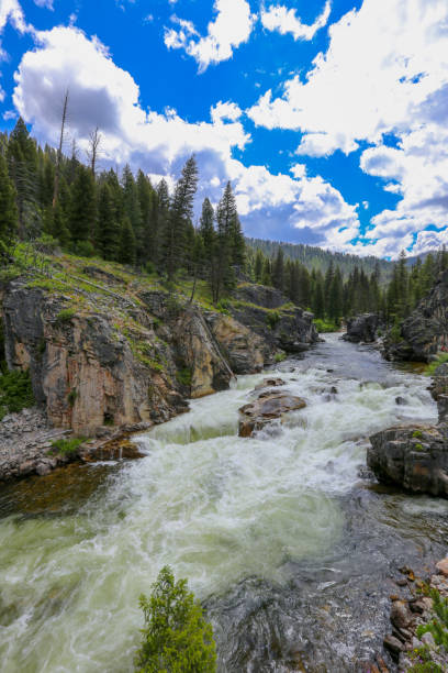 The River of No Return in the roadless Frank Church Wilderness