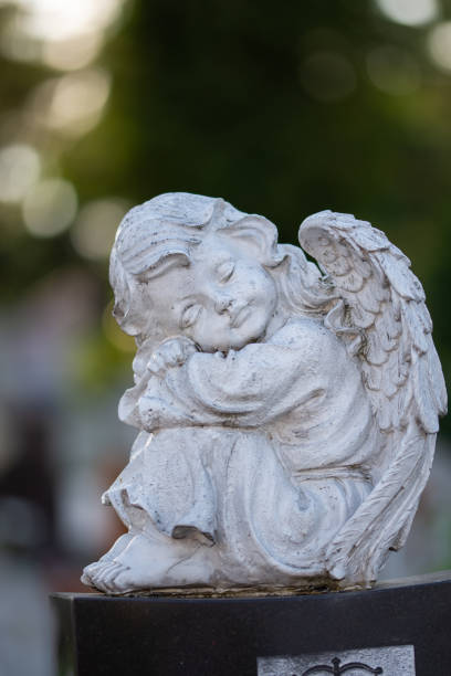 istock Angel statue in cemetery,Bistrita, Romania 1389770601