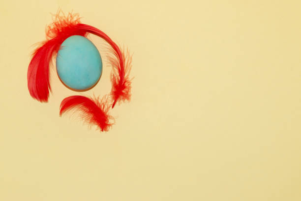 istock pastel blue easter egg surrounded by red feathers in the upper right corner of the pastel background, creative easter design 1389772657