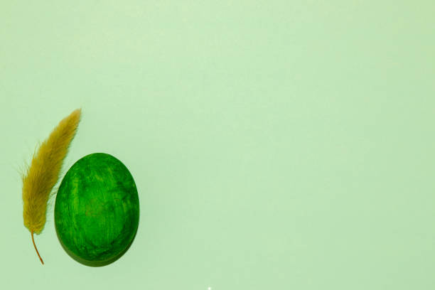 Easter eggs natural coloring on wooden background. Colorful Easter eggs collection