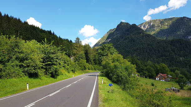 istock Road through the mountains , beautiful nature background , green trees 1389773964