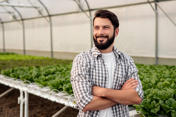 lächelnder bauer steht im gewächshaus mit salat - hydroponics vegetable lettuce greenhouse stock-fotos und bilder