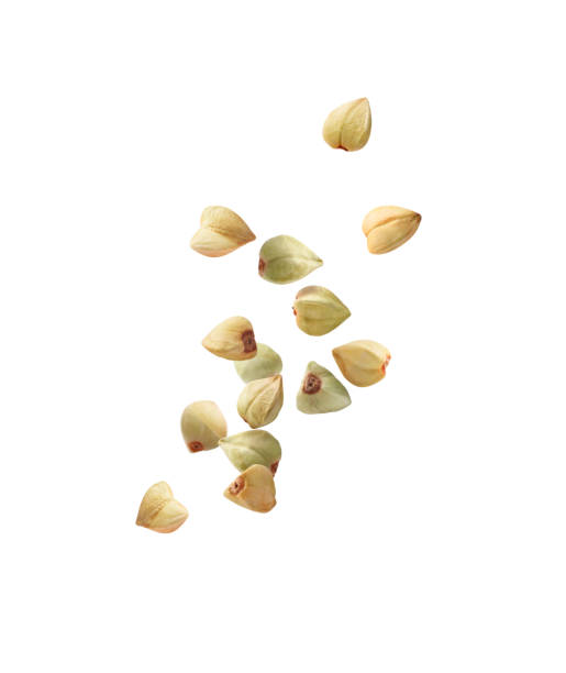 istock green buckwheat close-up in flight on a white background 1389784462