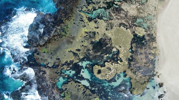 istock Marine park and reef 1389790455