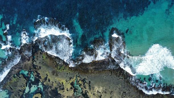 istock Marine park and reef 1389790460