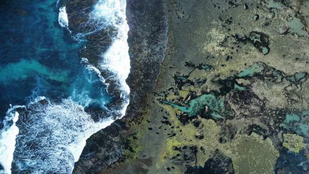 istock Marine park and reef 1389790507