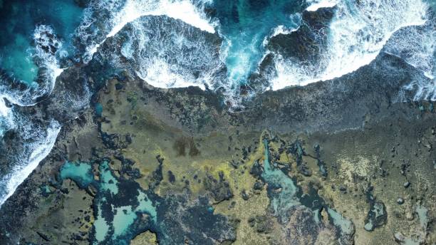istock Marine park and reef 1389790508