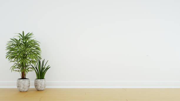 istock empty interior room with white wall and wood floor 3d render 1389790604