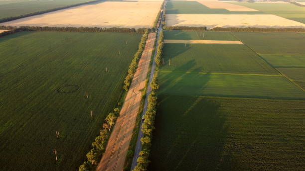 istock Drone flying over road between different agricultural fields during dawn sunset. 1389792520