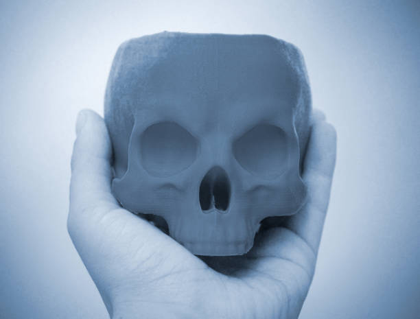 istock Skull printed on 3d printer in man's hand. Progressive modern 1389805783