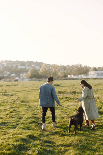 istock Stylish couple walking with a brown labrador on a nature 1389806795