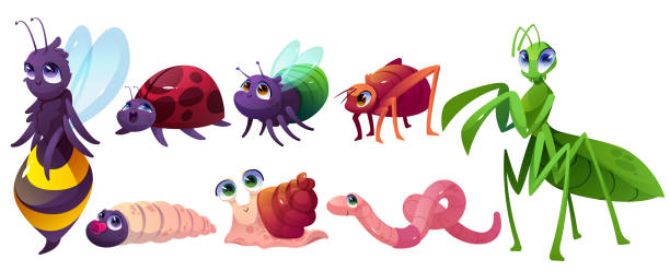 귀여운 만화 곤충 문자 달팽이, 꿀벌 또는 버그 - ant worm vector animal themes stock illustrations