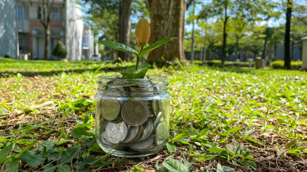 istock Coin tree Glass Jar Plant growing 1389811252