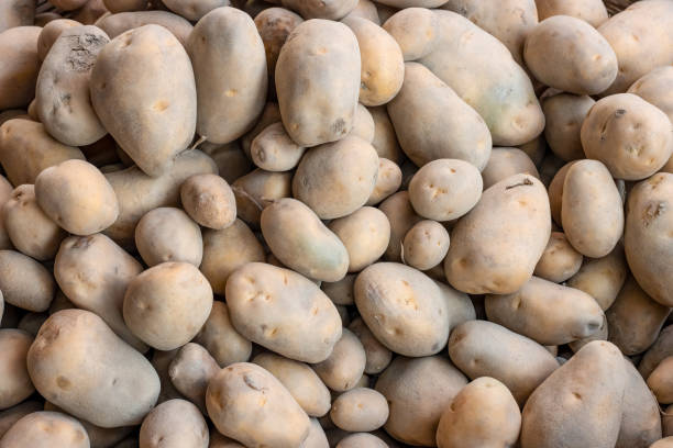 istock Organic fresh raw potatoes on a crate close up shot 1389812255