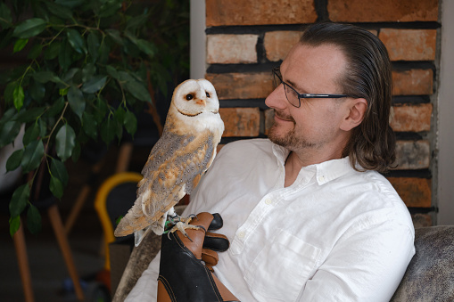 Man with owl at home. Unusual pets and human animal friendship relationships. Wild bird on hand glove tenderness and love.