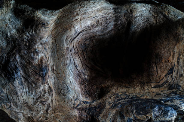 istock Old vintage wood texture. 1389815496