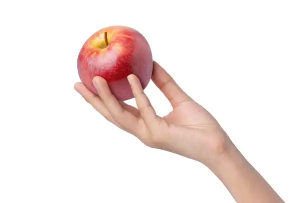 Photo of hand holding red apple