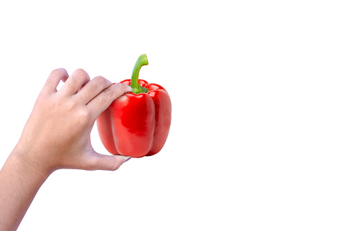 Female hand hold red bell pepper isolated on white background.