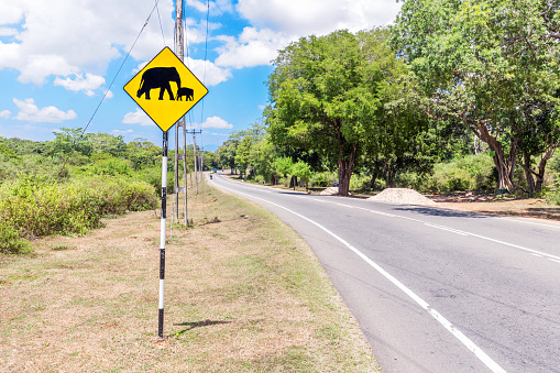 Yellow elephant warning sign along a road in Sri Lanka