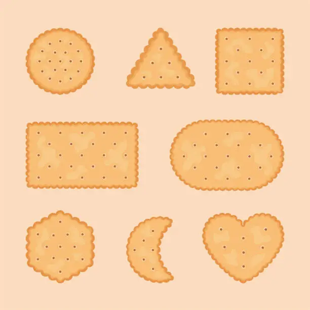 Vector illustration of Asorted Shape Biscuits Crackers Set