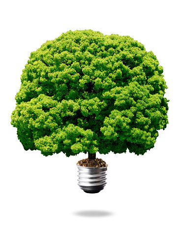 Close-up of lush foliage tree from light bulb in mid-air on white background.
Recycling concepts.