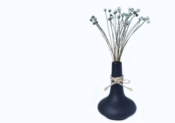 Modern black ceramic vase with dry flower on light background.Minimal modern interior concept, empty space for text.