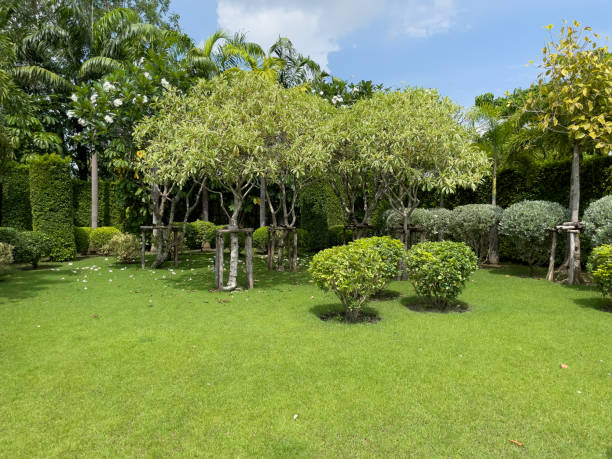 istock The gardens are green. 1389826413