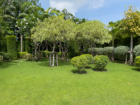 The gardens are lush green with various ornamental plants.
