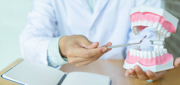 istock close up dentist man use mouth mirror tool on dental teeth model to explain and advise patient about dental cavity and cleaning in office room at clinic for dentistry health concept 1389826590