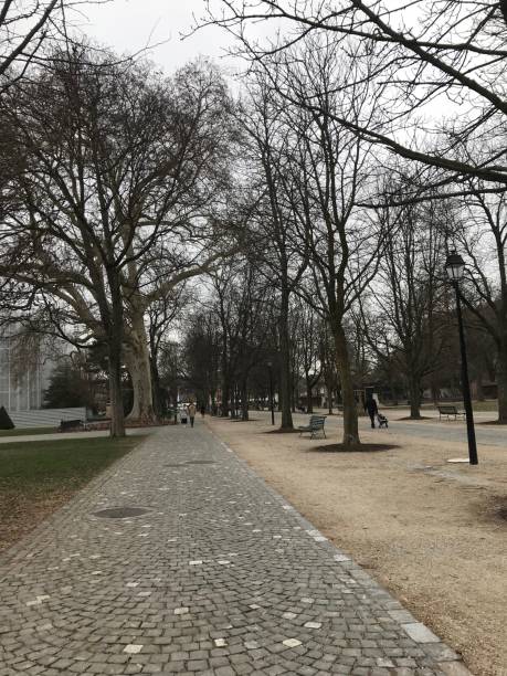 istock A garden view during the winter in Geneva. 1389828215
