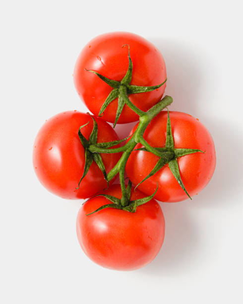 istock Tomatoes on a branch on white background. 1389831584