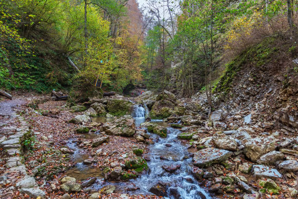 Rufabgo Stream in forest in autumn, Adugea, Russia