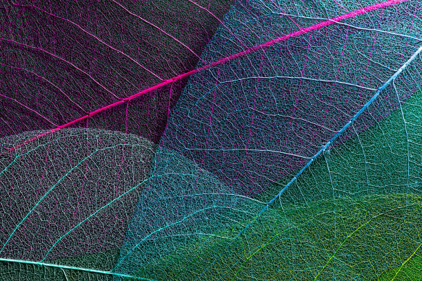 istock nature-inspired environment organic design background. skeleton leaf texture. close-up textured background 1389836933