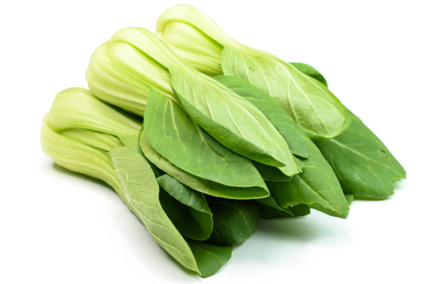 Fresh crop growing on the ground
