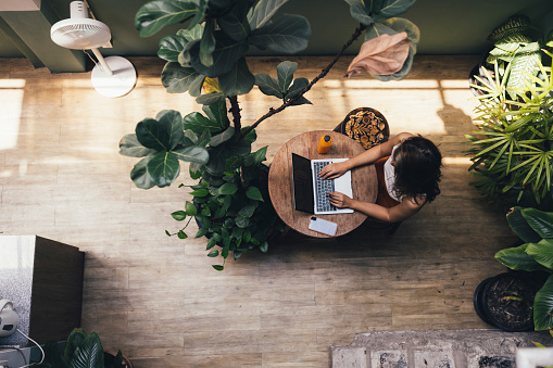 An unrecognizable female student sitting at a round wooden coffee table and writing an assignment on her laptop computer.