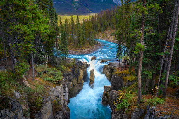 istock Sunwapta Falls in Jasper National Park, Canada 1389838036