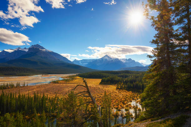 istock Howse Pass Viewpoint in Banff National Park, Canada 1389838041