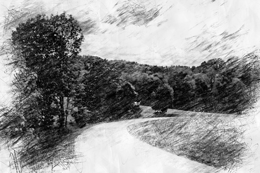 panoramic view of road and forest in pencil drawing style