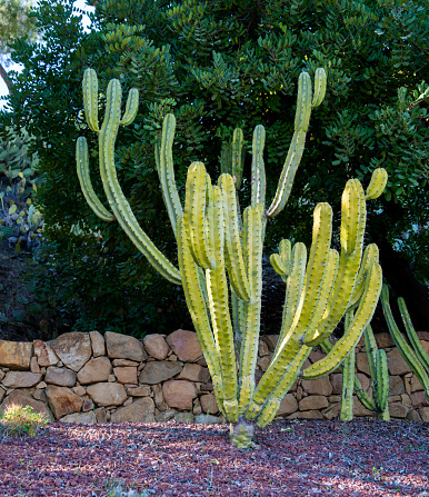 Santa Fe NM Style: Adobe house courtyard with fountain