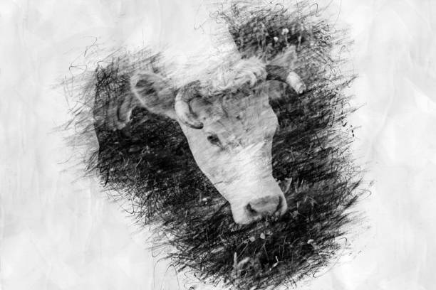 istock white cow eating grasss in pencil drawing style 1389838353