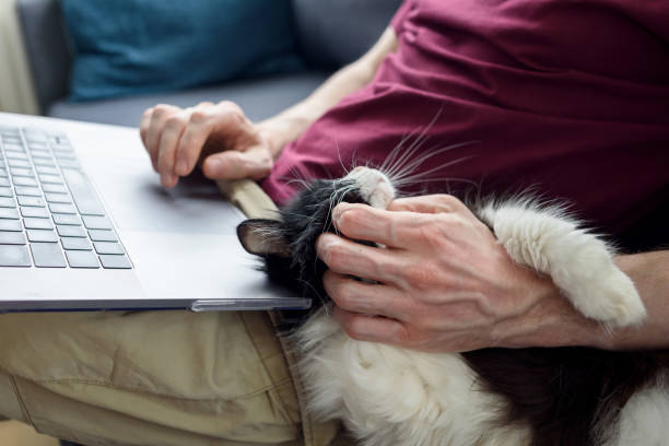 istock Man working on laptop with his cat 1389839191