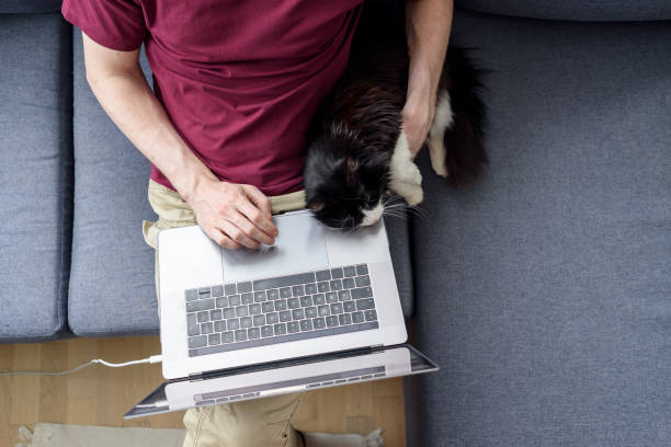 istock Man working on laptop with his cat 1389839688