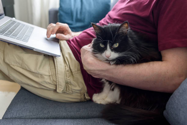 istock Man working on laptop with his cat 1389842147