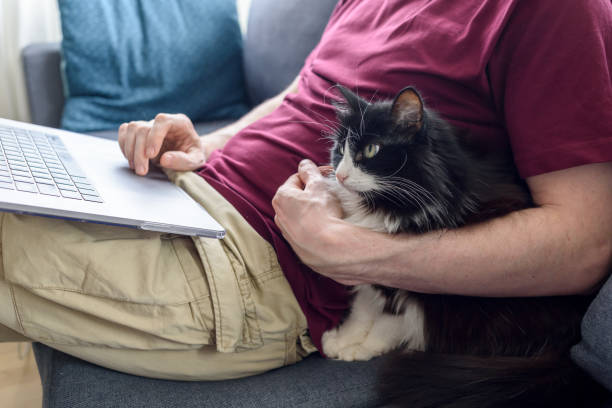 istock Man working on laptop with his cat 1389842270