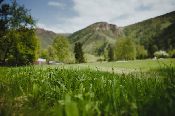 хозяйственные постройки в зеленых холмах с эффектом наклона-сдвига - tilt shift lense стоковые фото и изображения