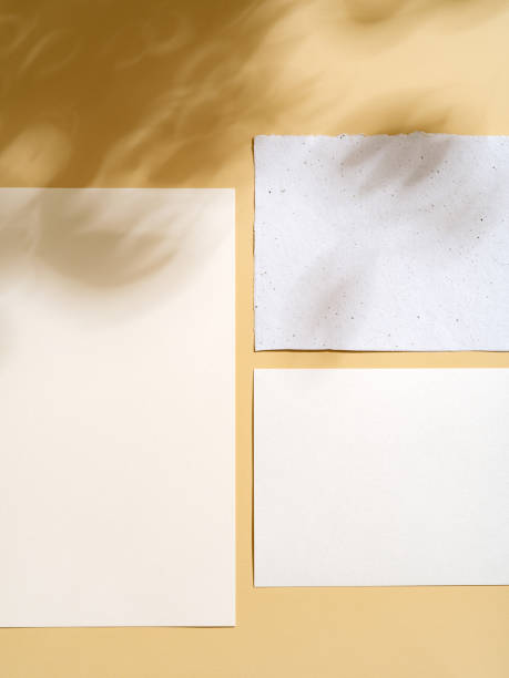 istock Neutral Earthy colored simple design mockup with soft light and shadow. Minimalist mood board or template for wedding invitation, greeting card or business identity.To do list, poster, letter concept. 1389842746