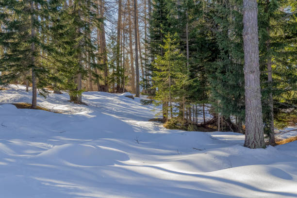 istock Around Felixer Weiher 1389844124