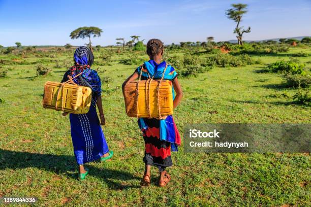 Young African girls carrying water from the well, Ethiopia, Africa