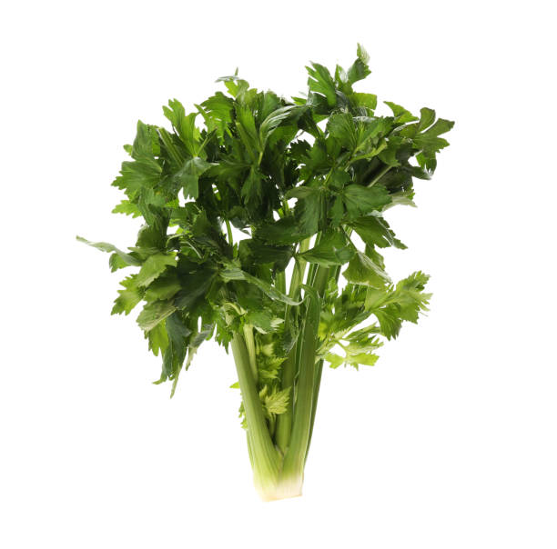istock Fresh green celery bunch isolated on white 1389844926